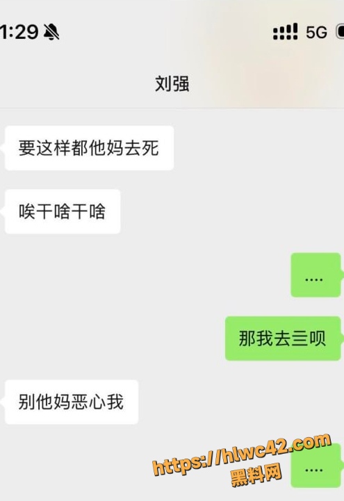 资阳女主怒撕刘强43条理由 7