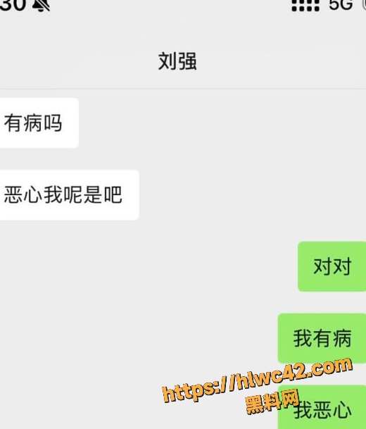 资阳女主怒撕刘强43条理由 9