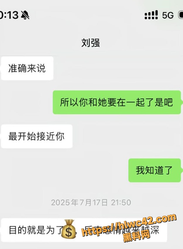 资阳女主怒撕刘强43条理由 11