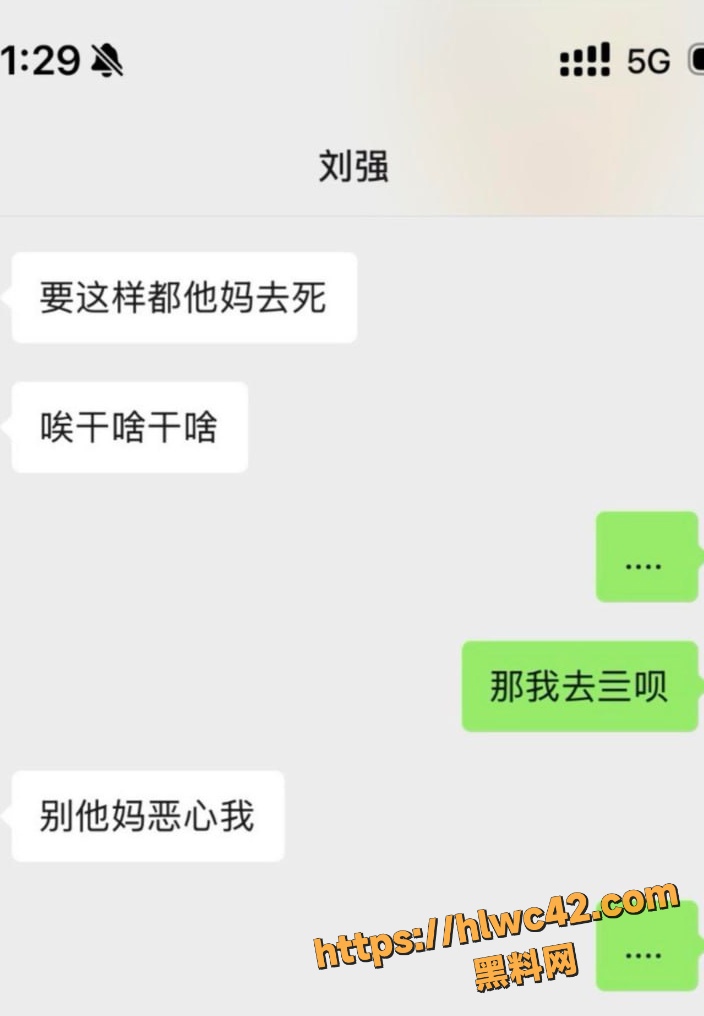 资阳女主怒撕刘强43条理由 12
