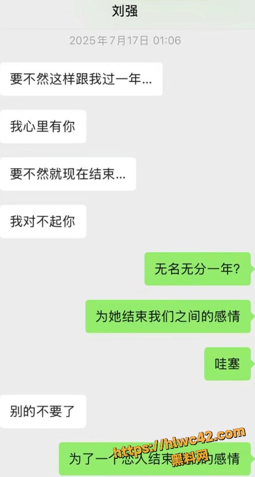 资阳女主怒撕刘强43条理由 13