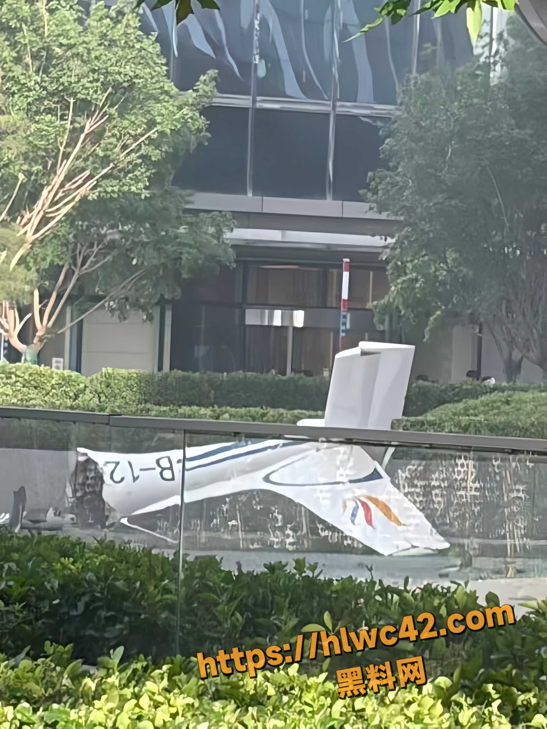 北极坠机事故现场视频10