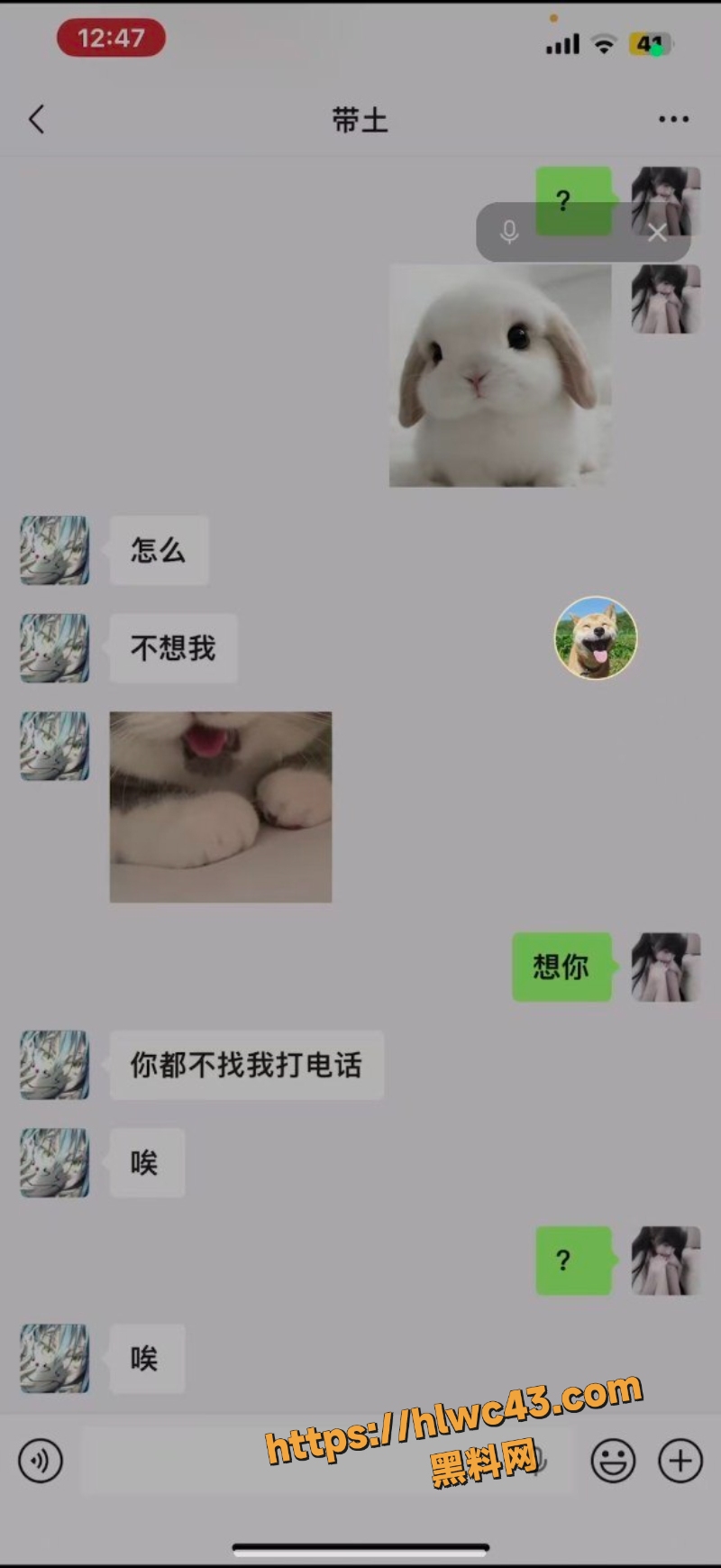 王晶晶私密曝光5
