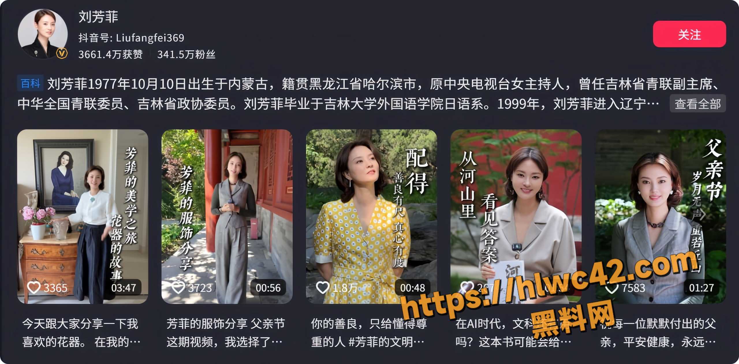 前央视春晚主持人刘芳菲1