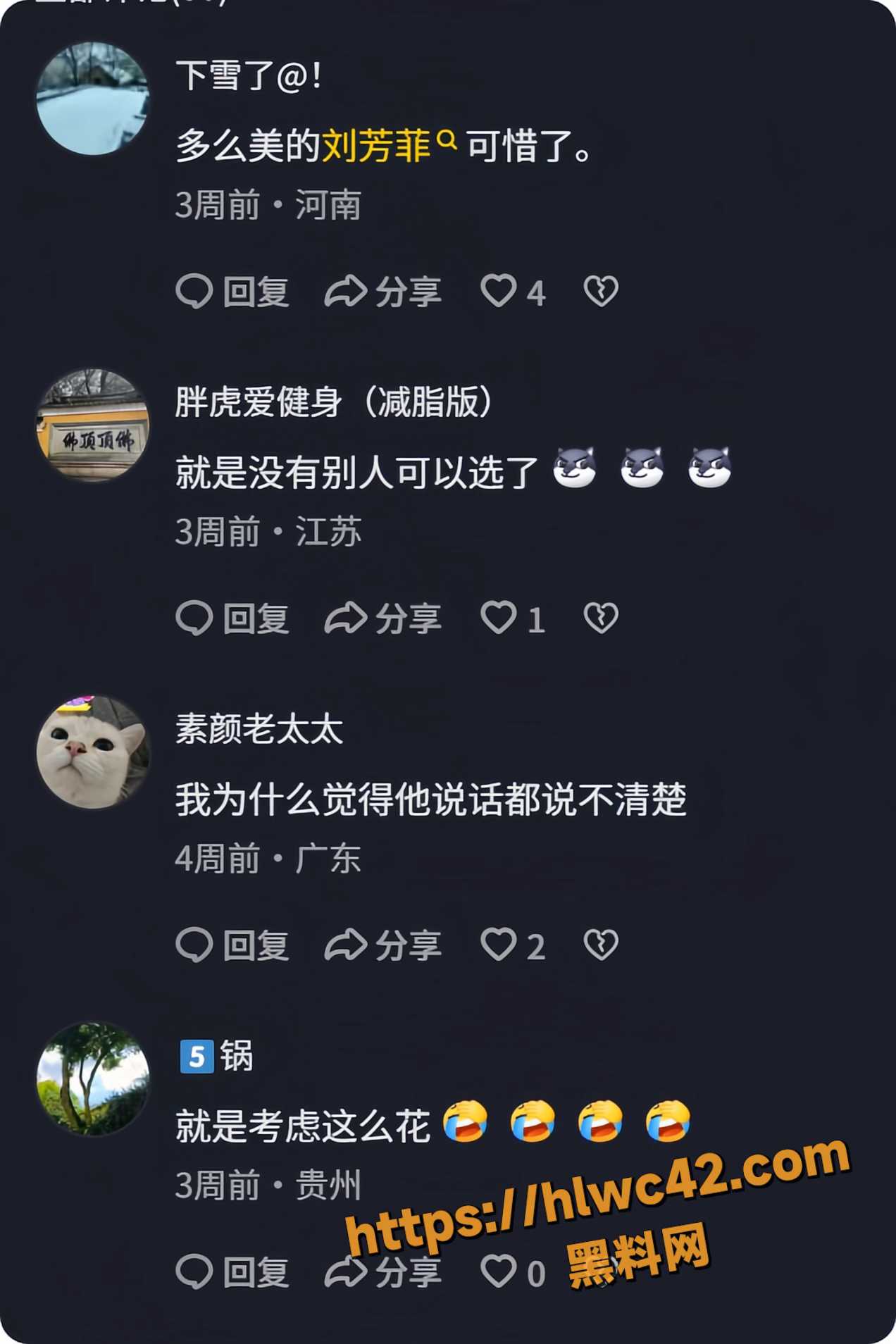 刘芳菲不雅视频11