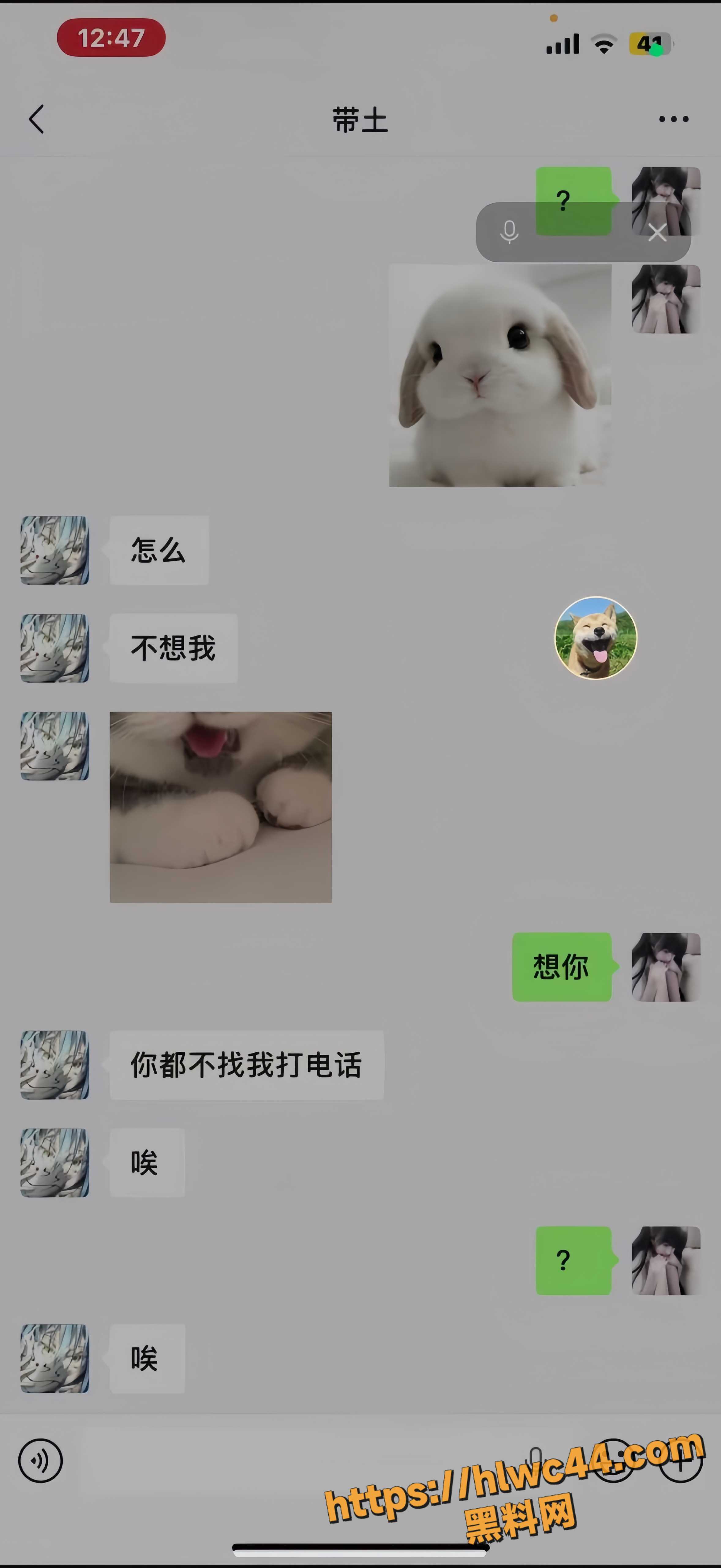 反差甜妹福利资源2