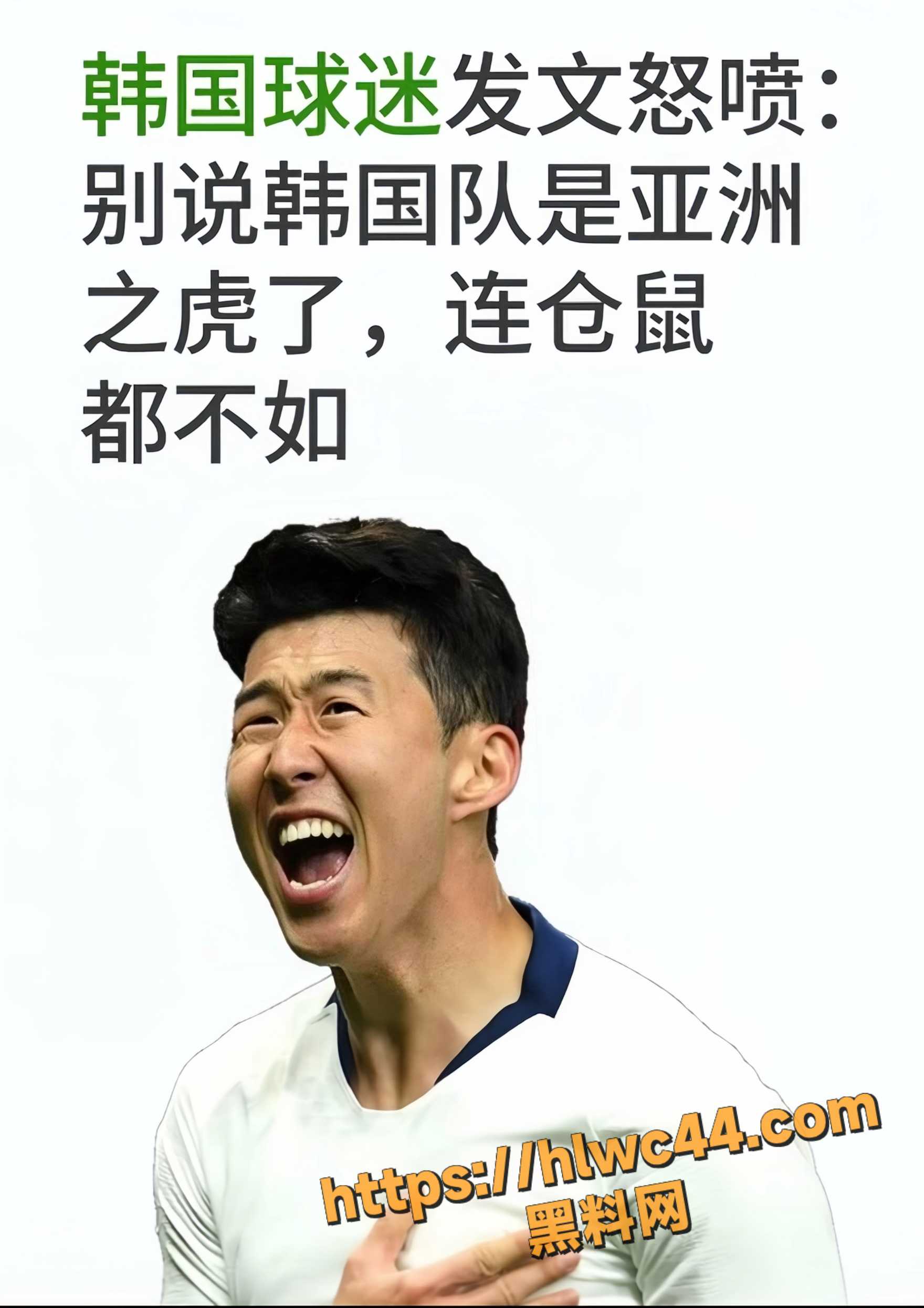世界杯7