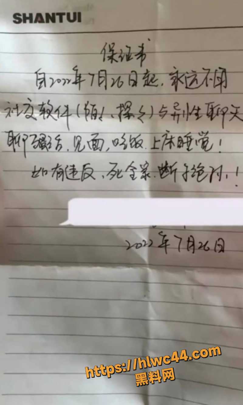 橙翼振兴婚内出轨保证书4