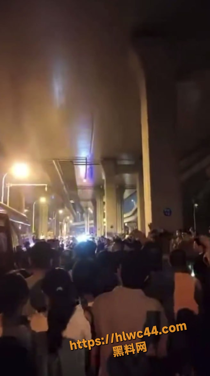 合肥业主堵路游行现场视频2