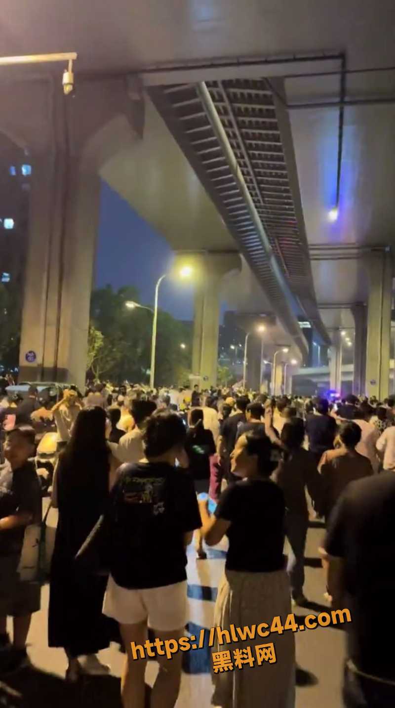 合肥业主群抗议垃圾站3