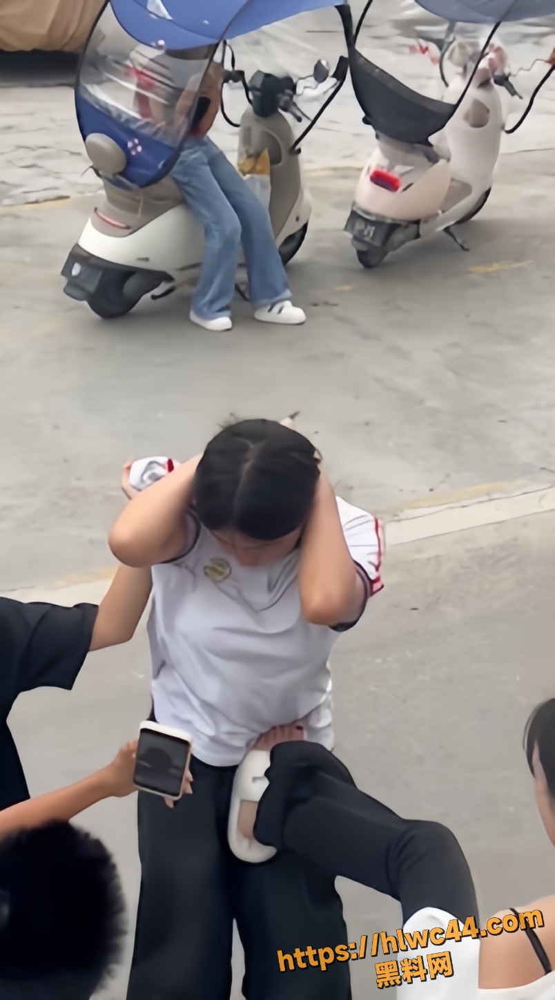QQ20260629113407