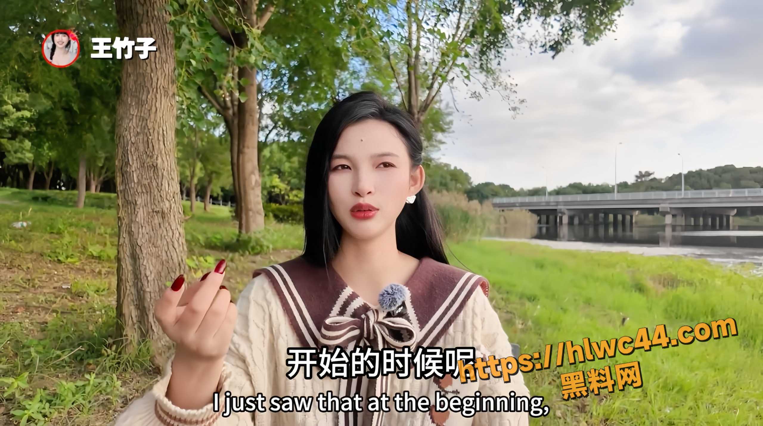 王竹子公园直播1