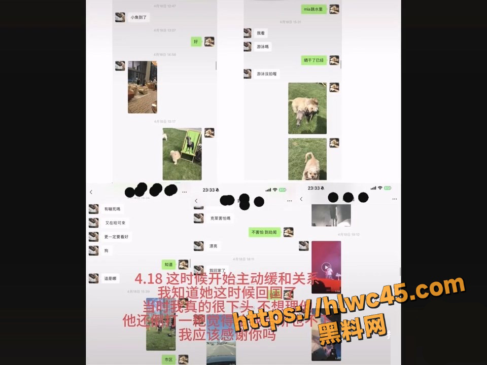 前任实锤 5