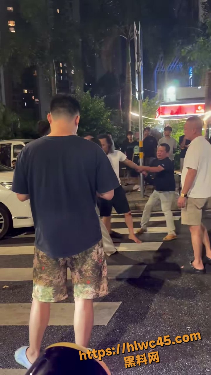 街头斗殴6