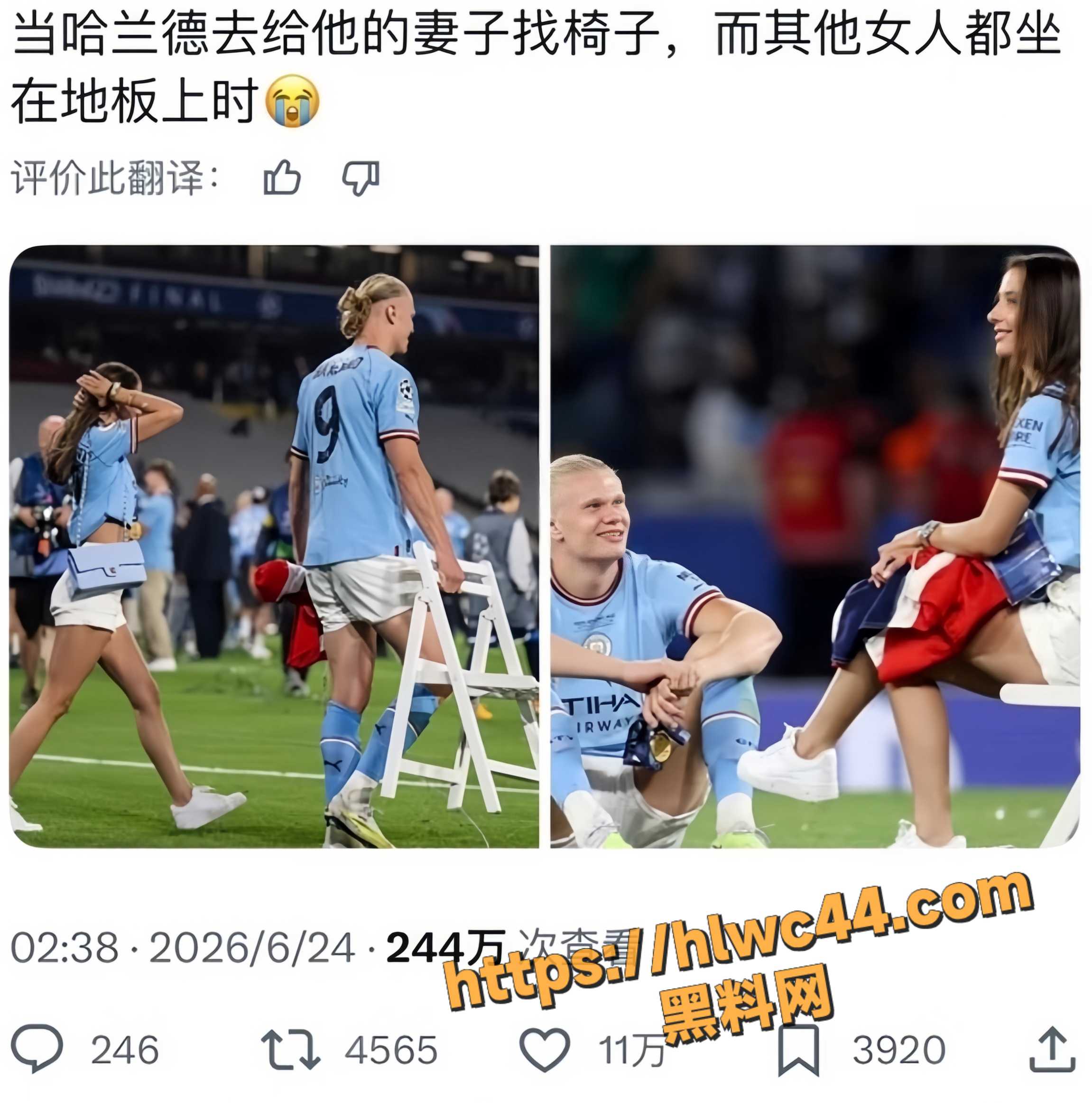 哈兰德与伊莎贝尔模范夫妻10