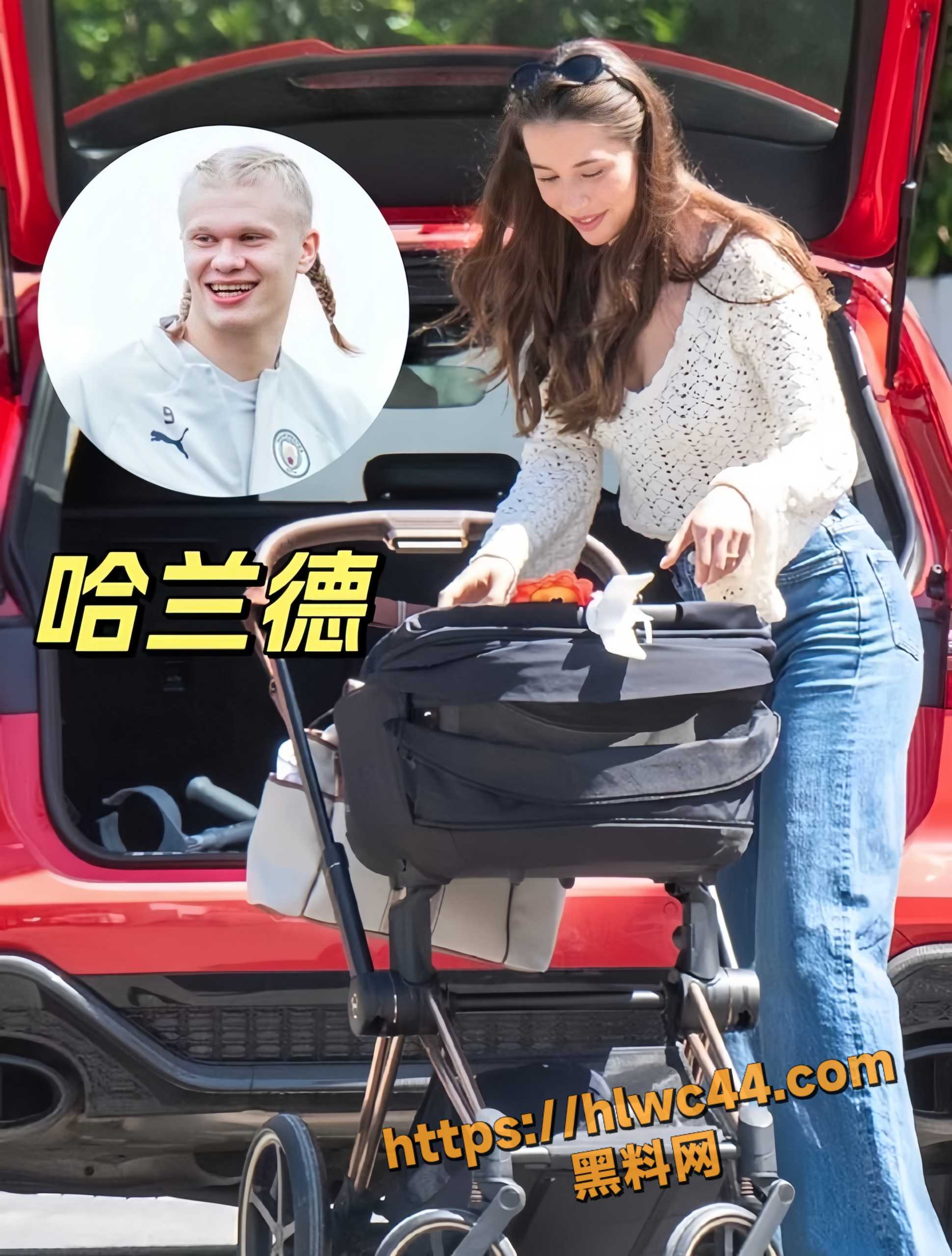哈兰德16
