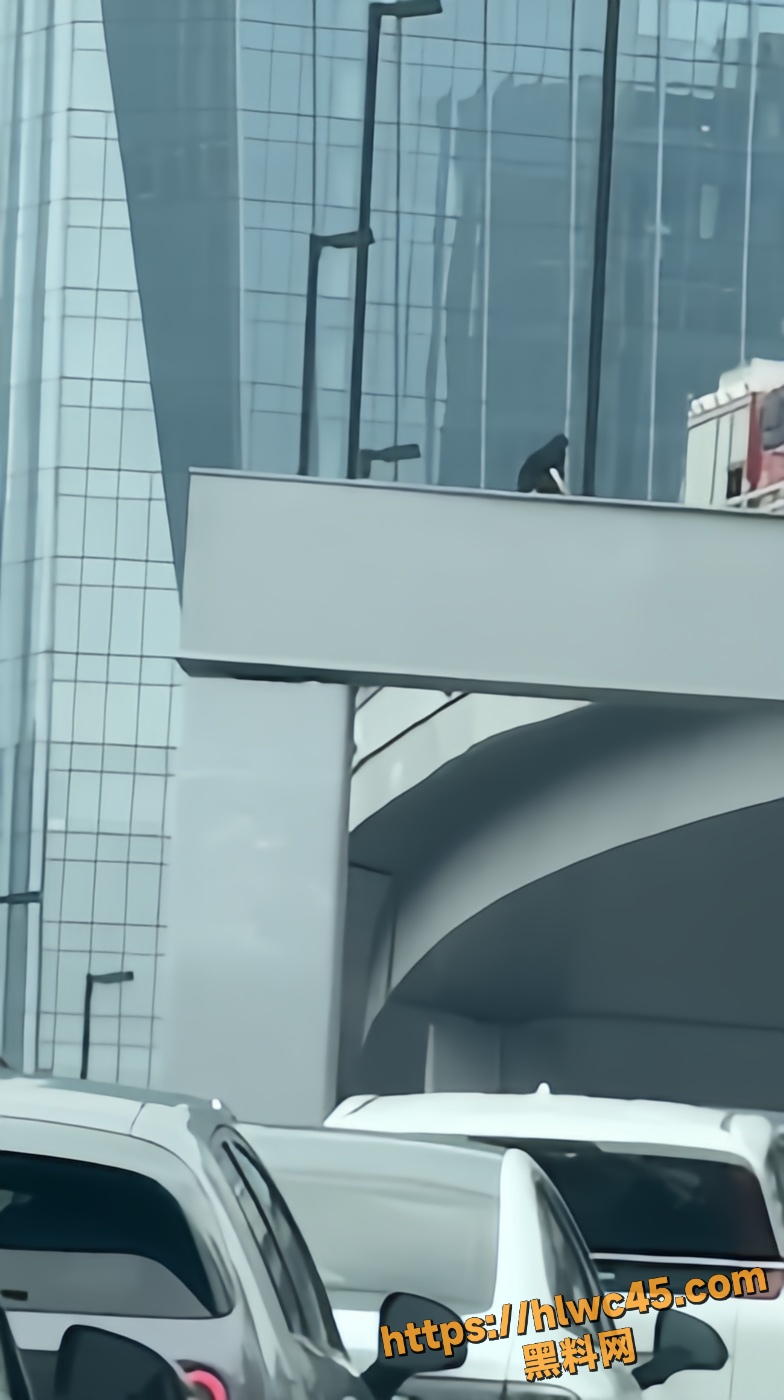 中山立交女子跳桥事件4