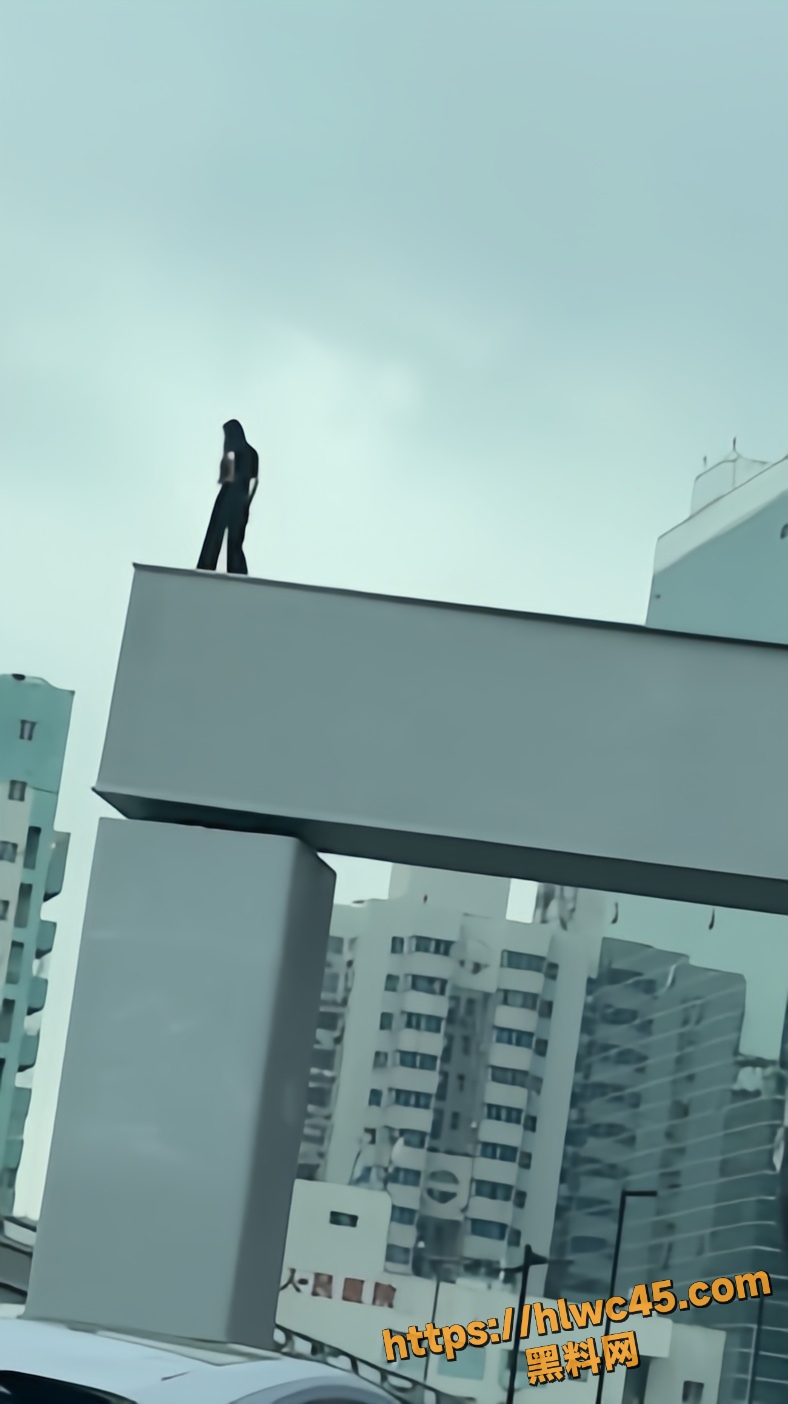 中山立交女子跳桥事件5