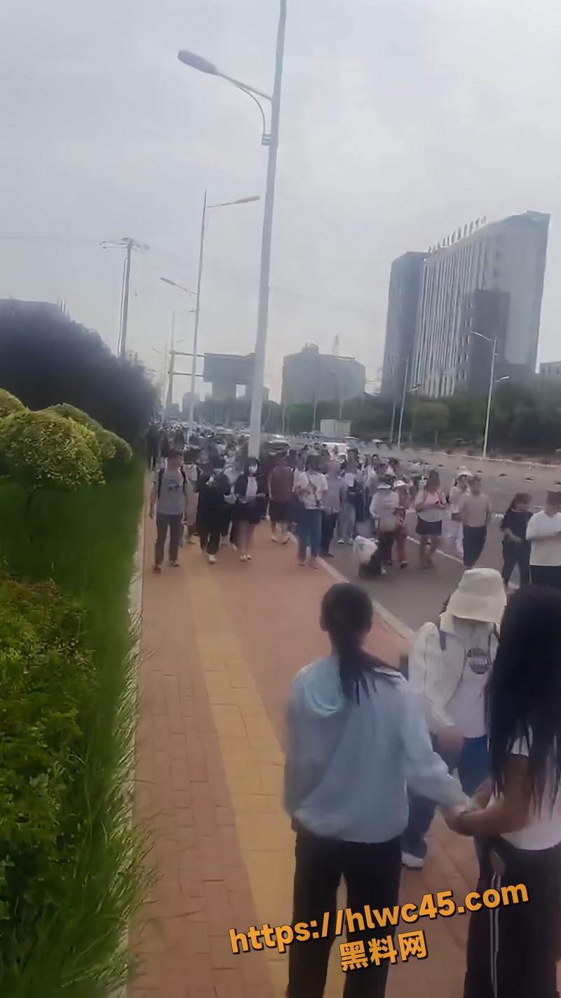 02桔小花暴雷辽宁营口维权0 2wm