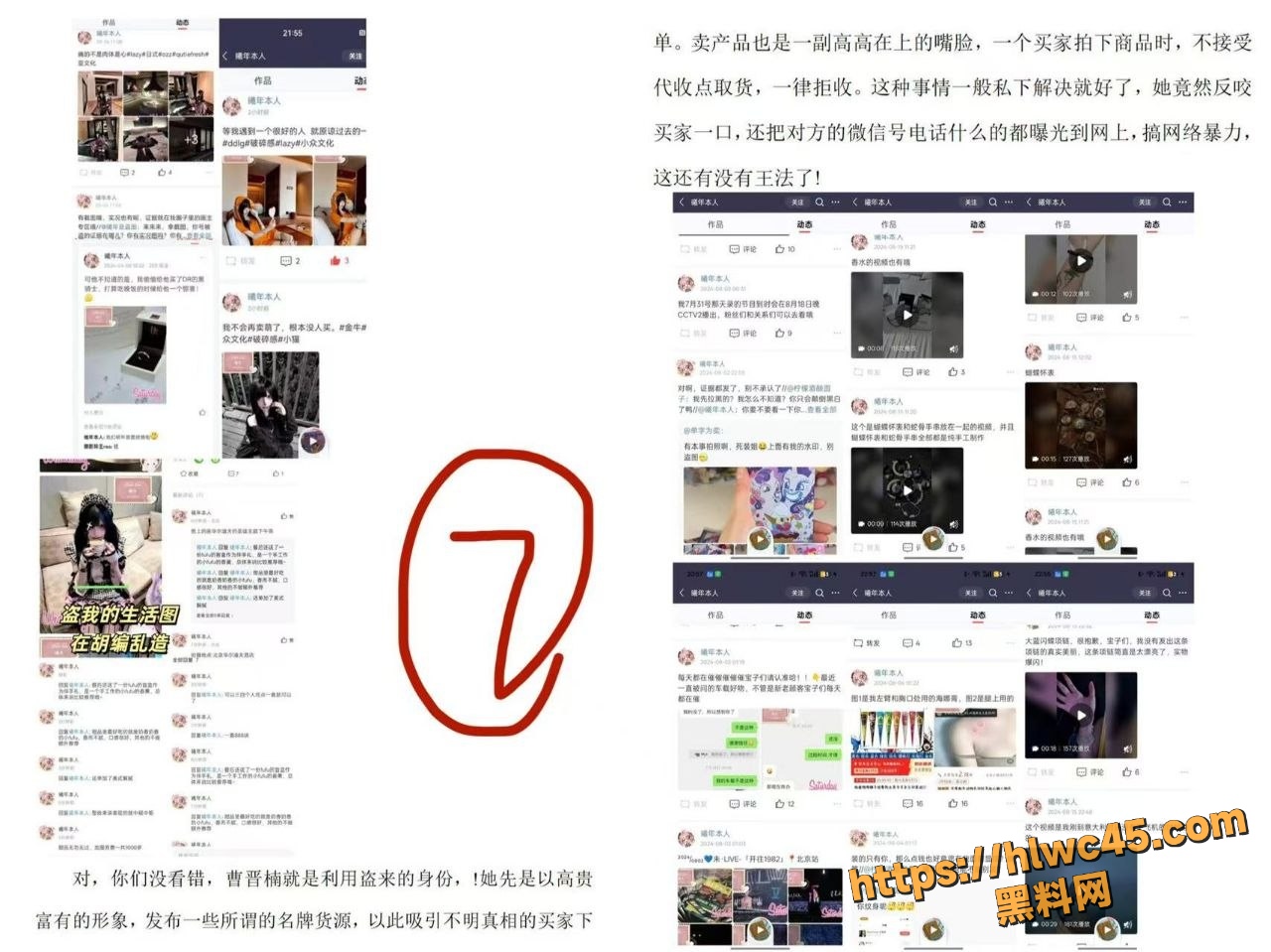 曹晋楠盗图诈骗事件13