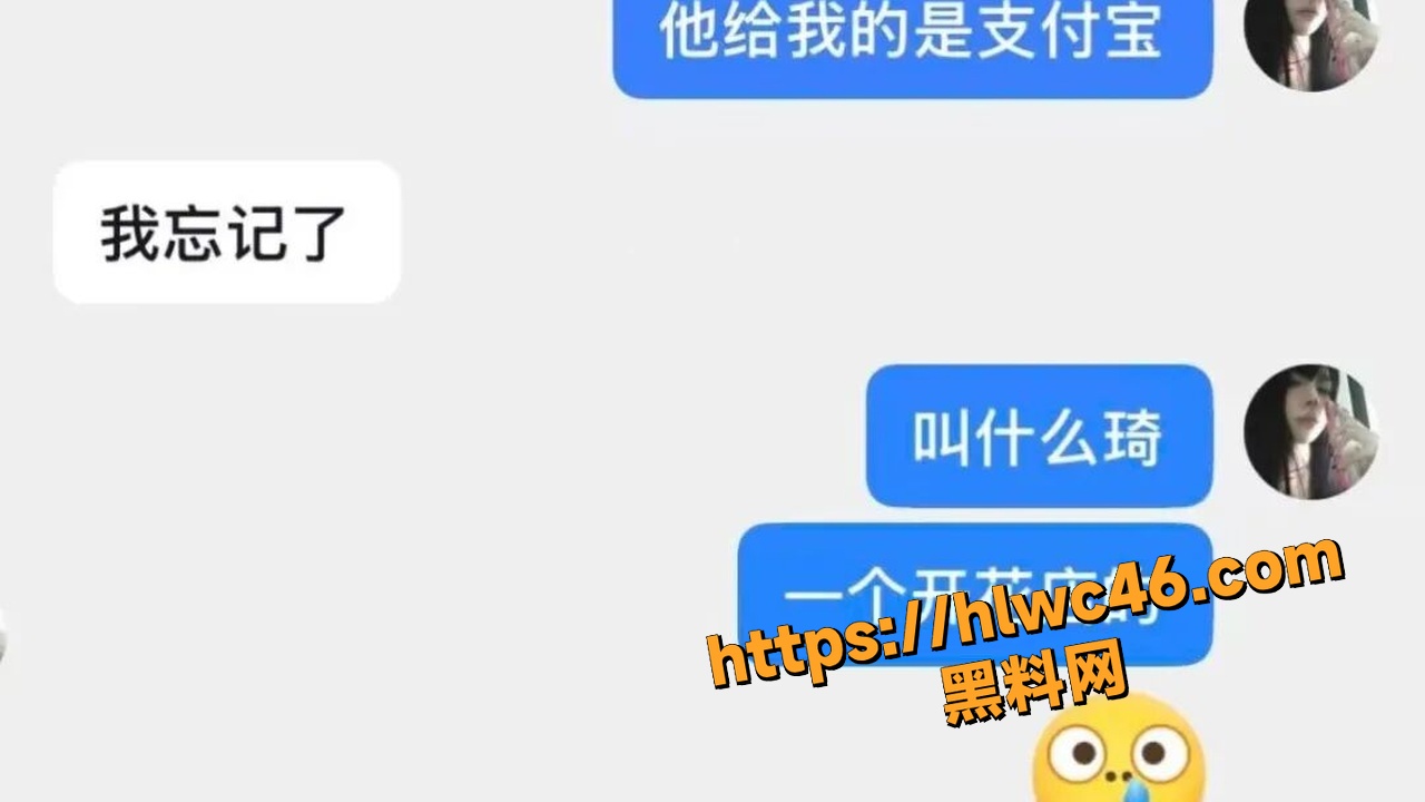 脚踏多船