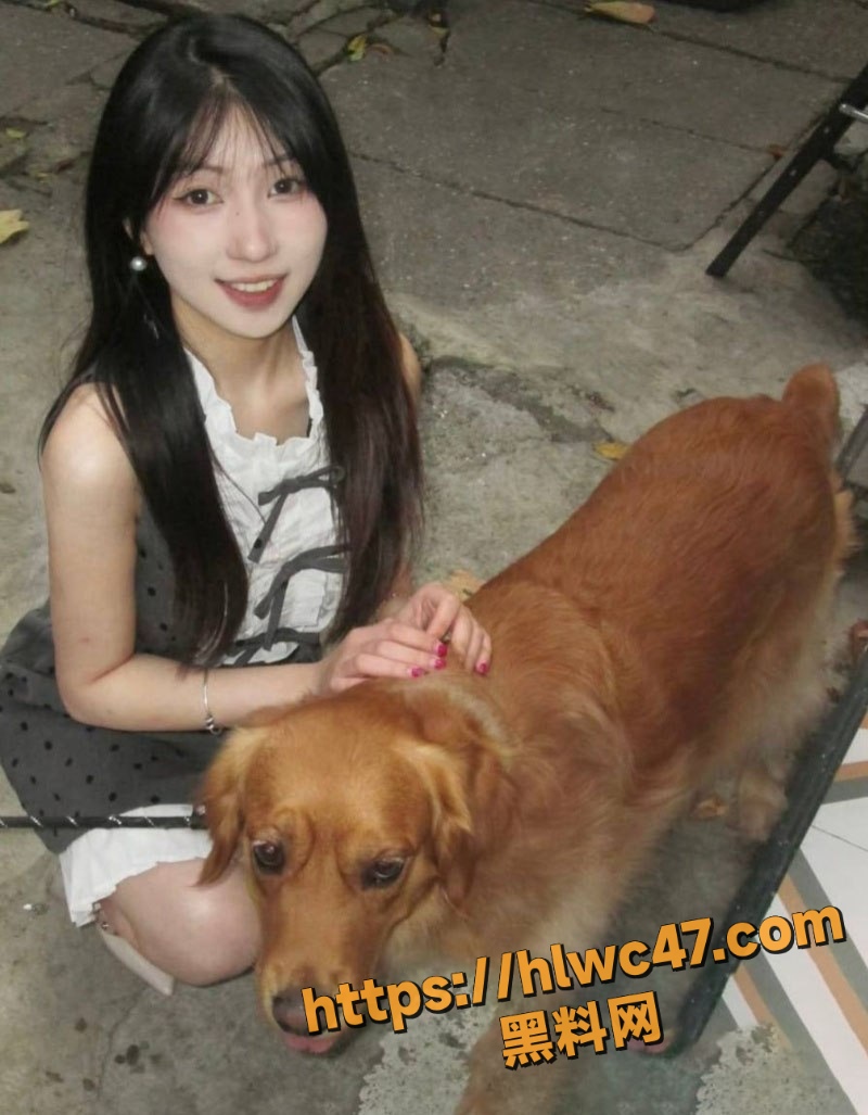 海来阿木消费忘女营销 5