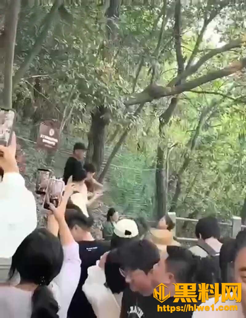 杭州北高峰神级绿帽现场3