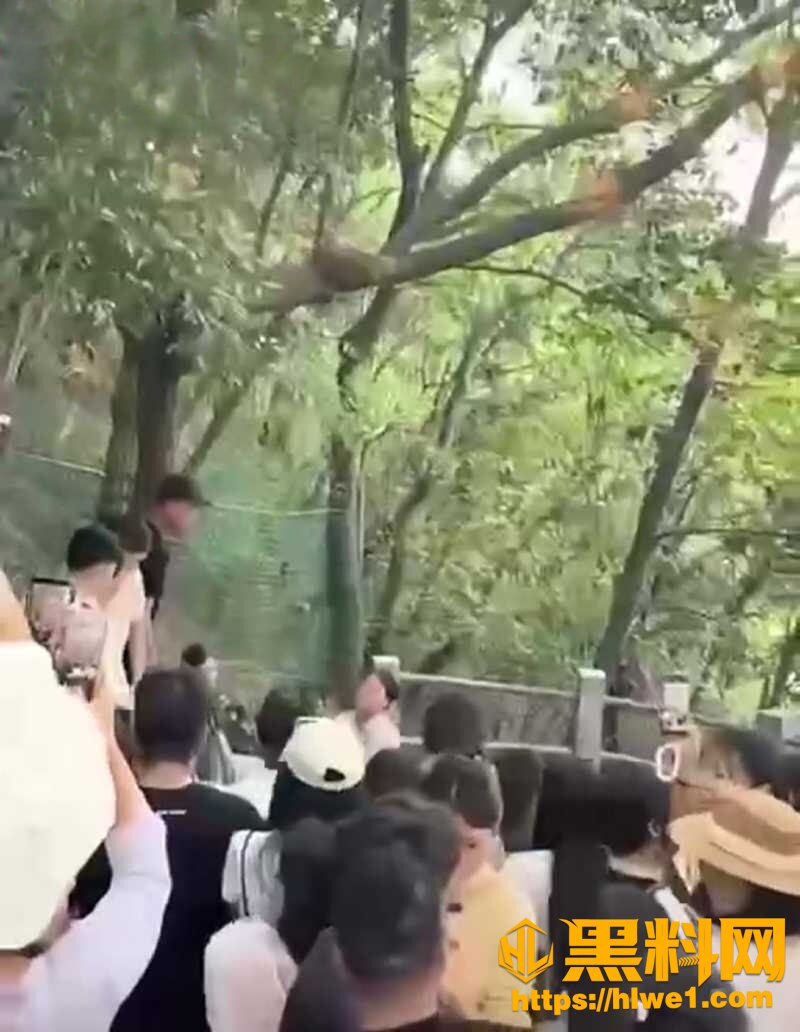 杭州北高峰神级绿帽现场4