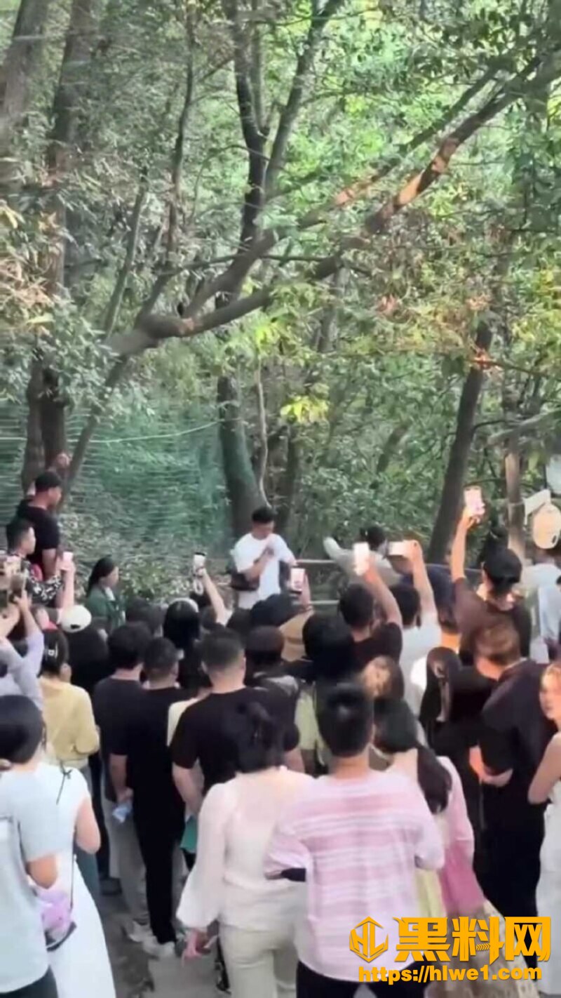 杭州北高峰神级绿帽现场6