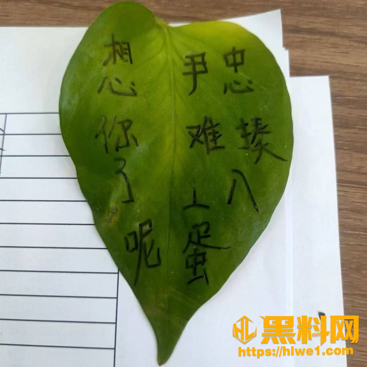 尹忠私密视频曝光1
