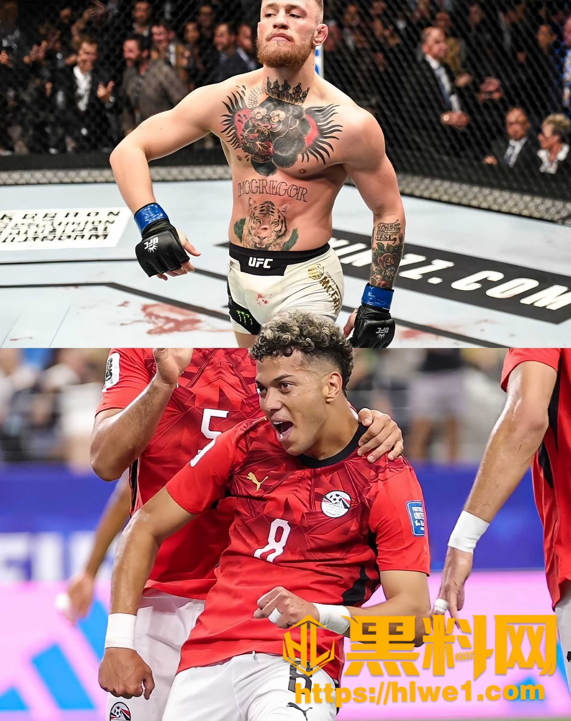 澳大利亚22