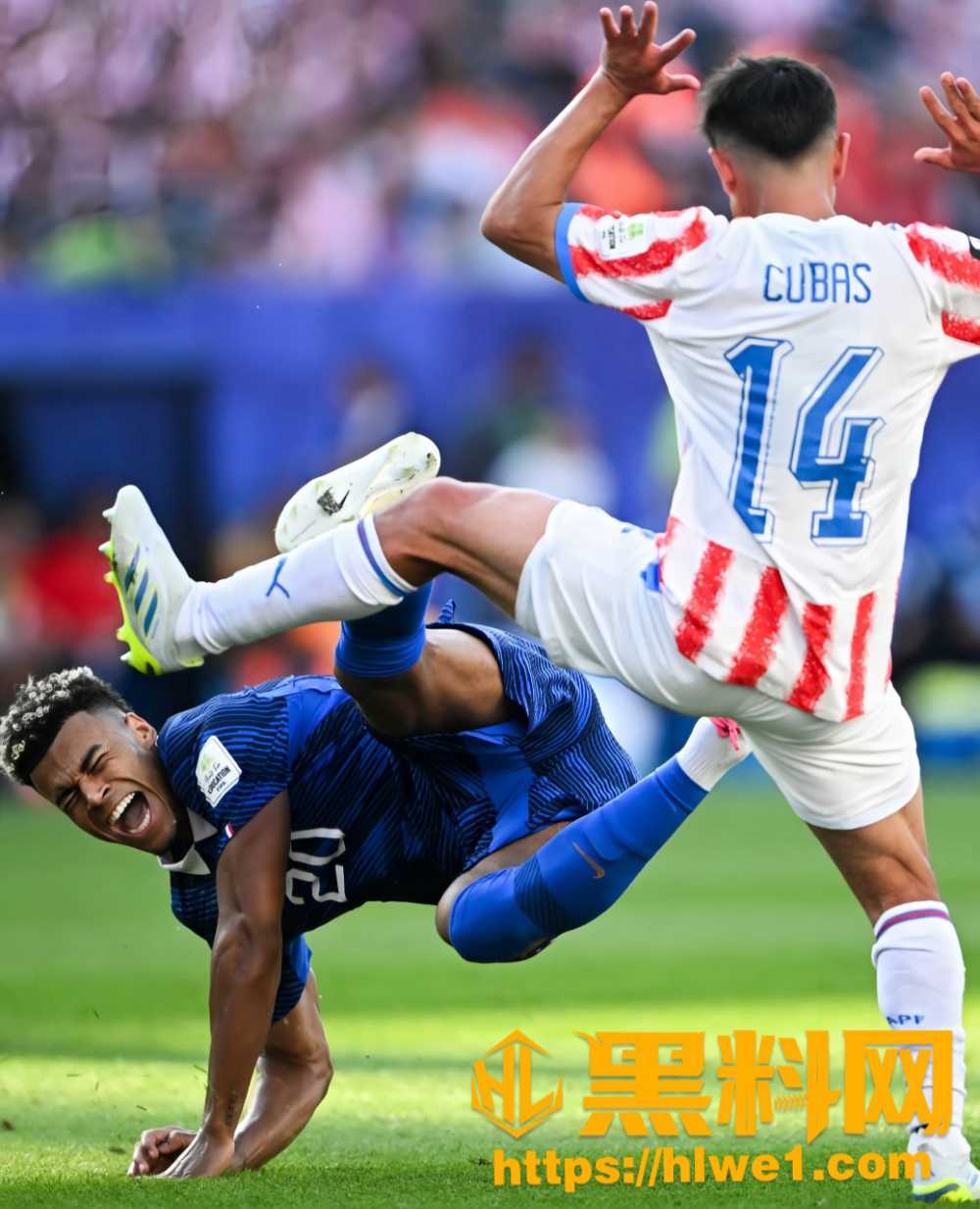 世界杯14