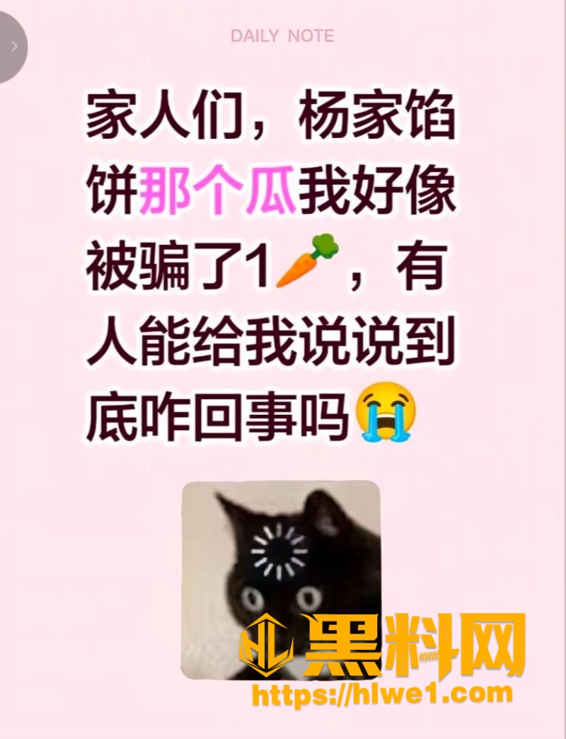 辛能能给小三包饺子闹剧1