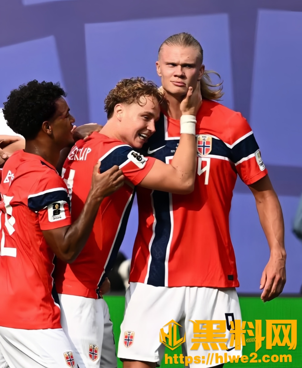 挪威队球员哈兰德9