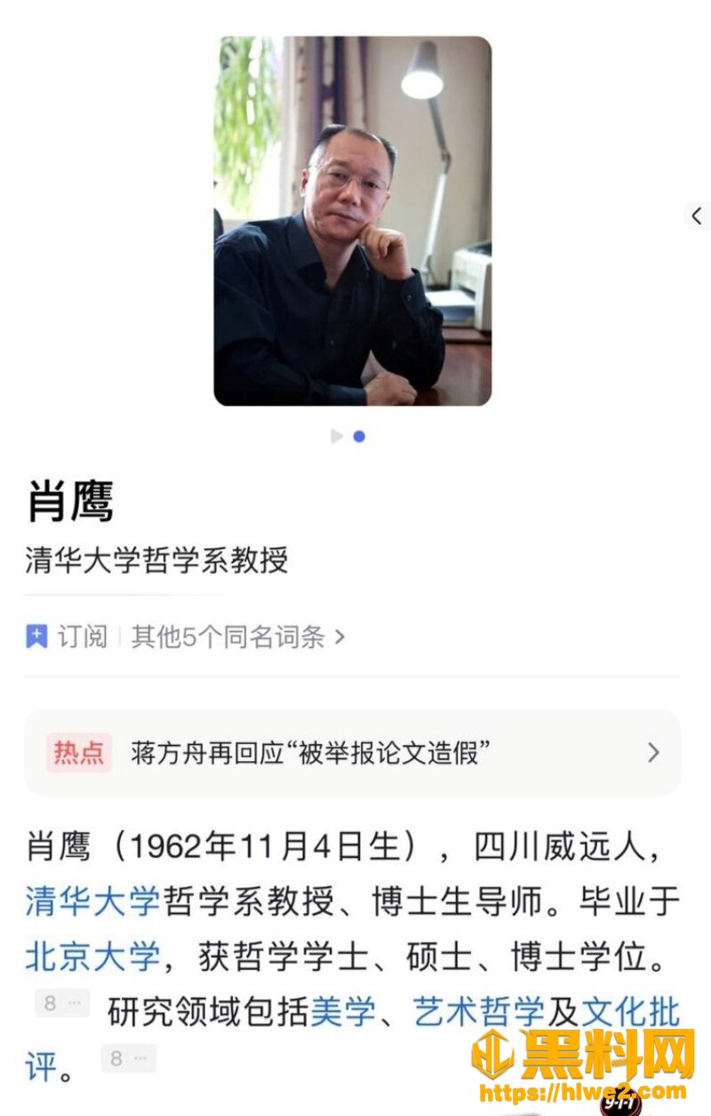 蒋方舟论文造假风波升5