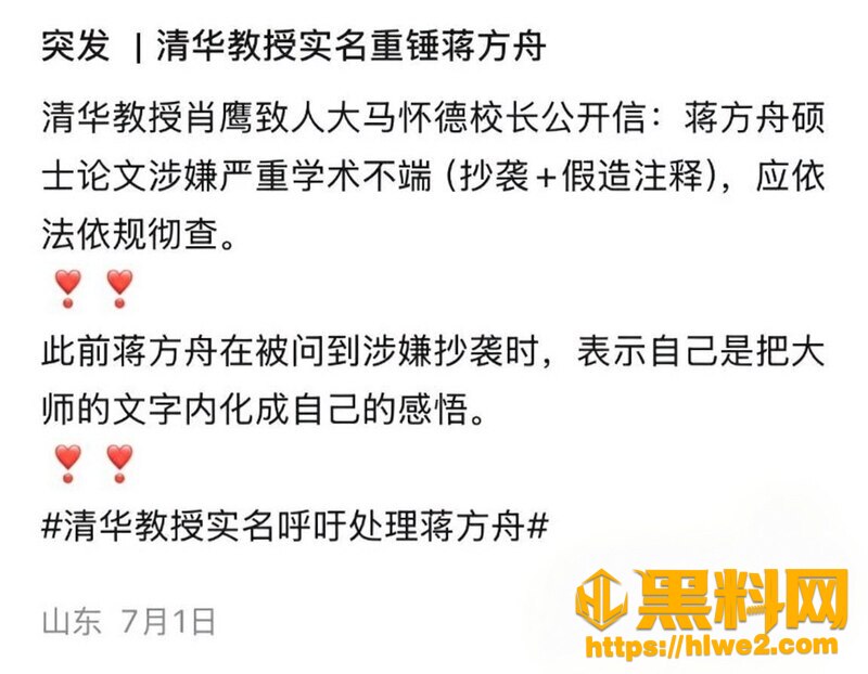 蒋方舟论文造假风波28