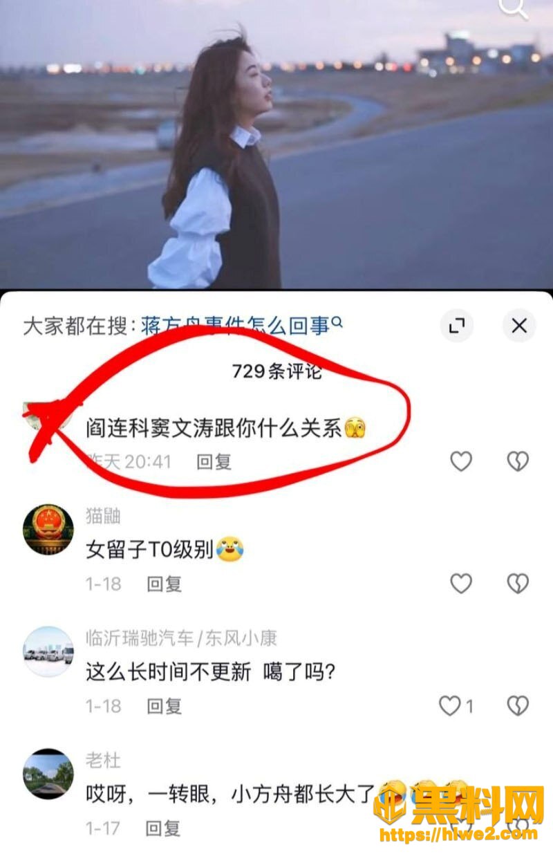 蒋方舟论文造假风波32