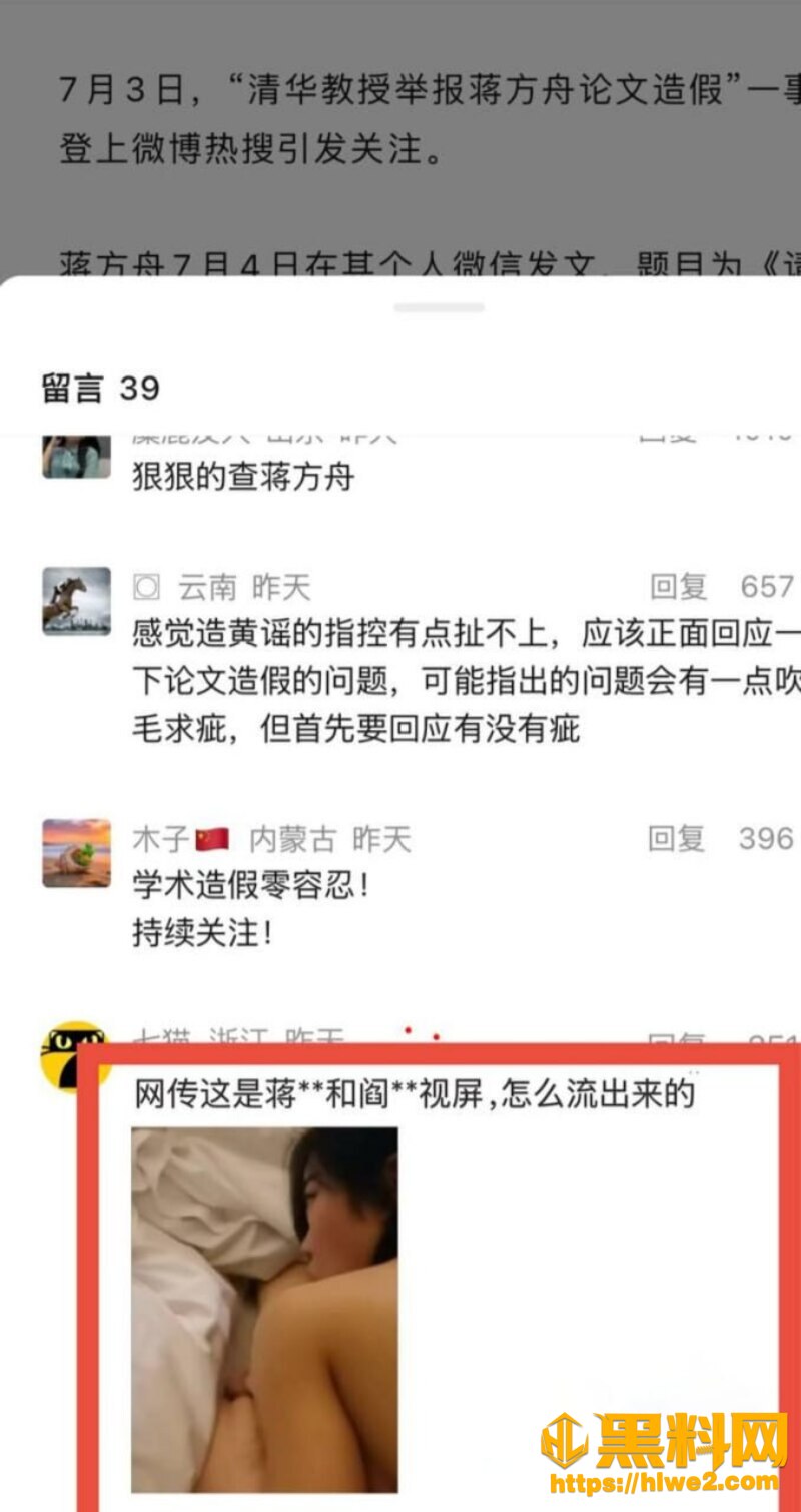 蒋方舟论文造假风波33