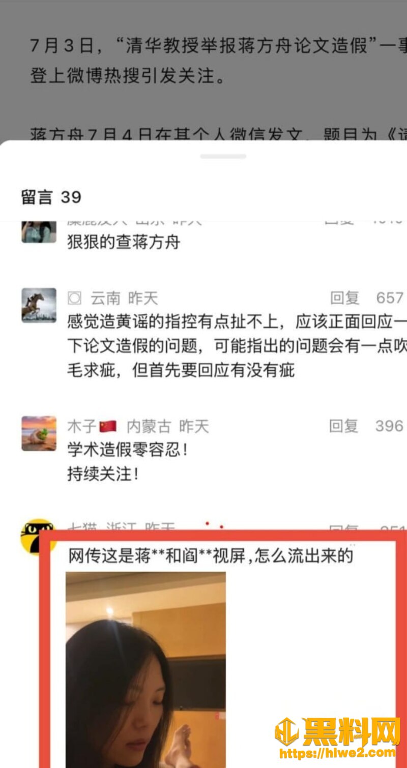 蒋方舟论文造假风波34