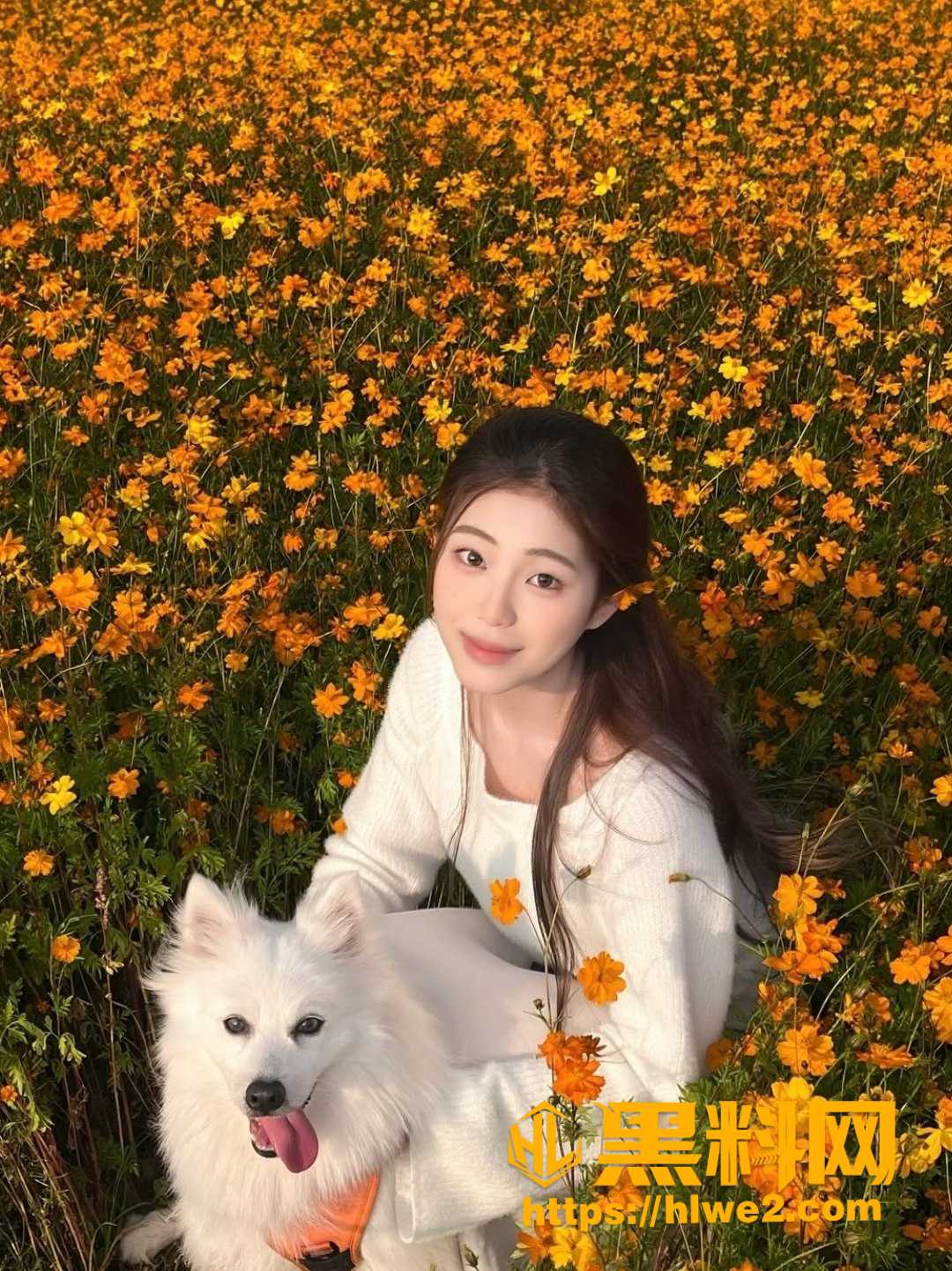 播晨晨性爱视频泄密 3