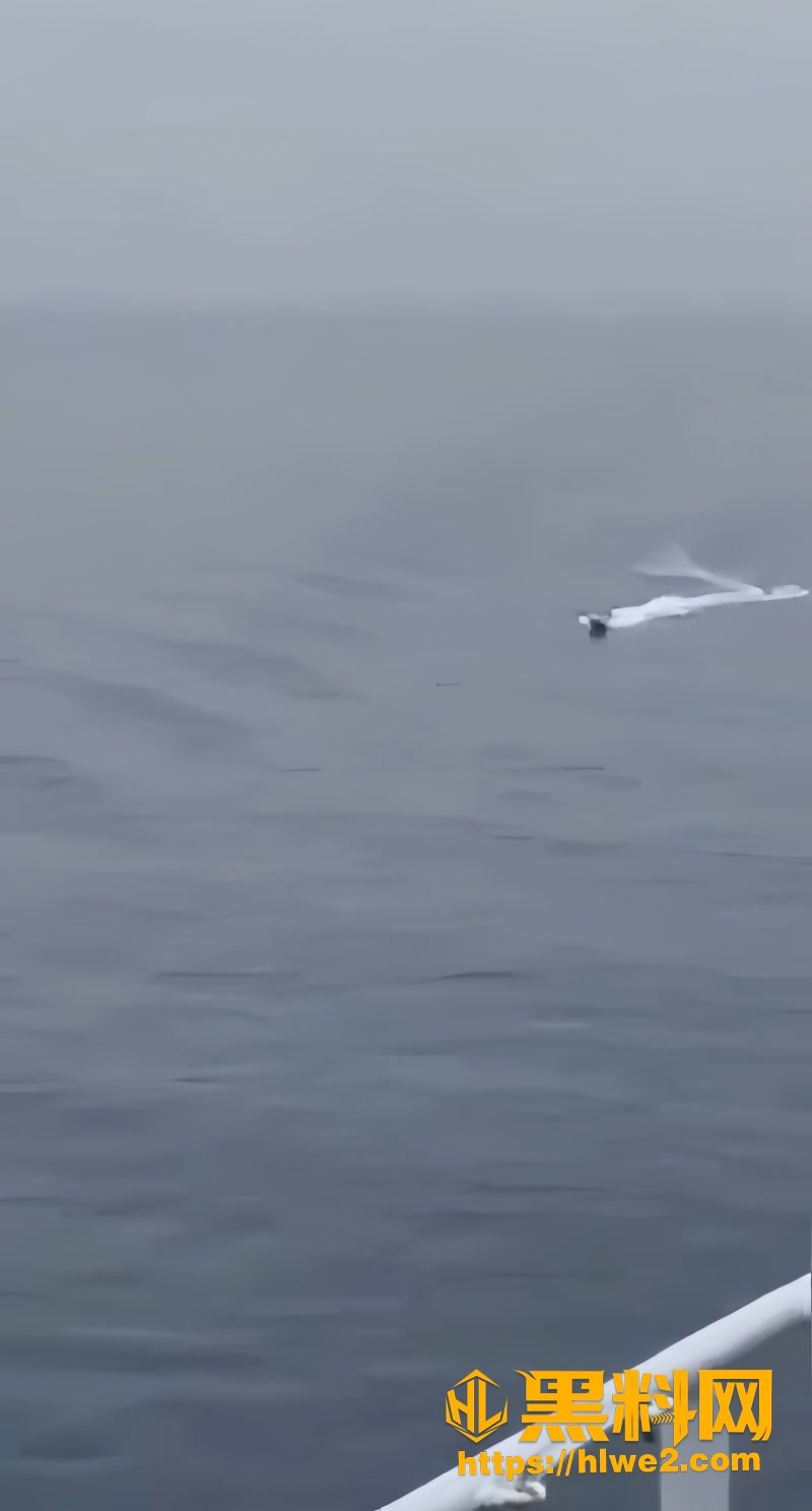 03打击海盗视频1 3wm