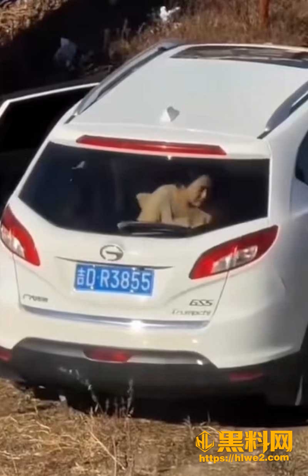 老阿姨