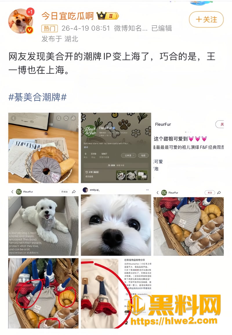 28王一博綦美合恋情4 1wm