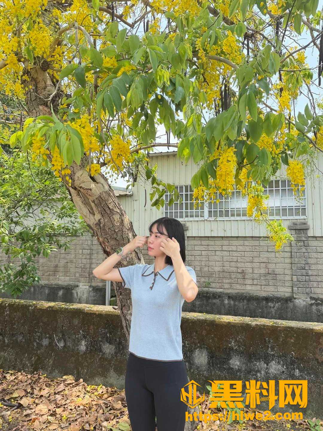 高颜值7
