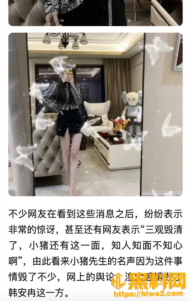 小猪先生不雅视频11