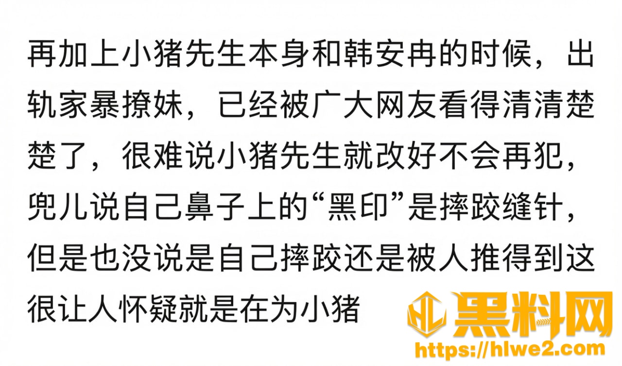 小猪先生不雅视频12