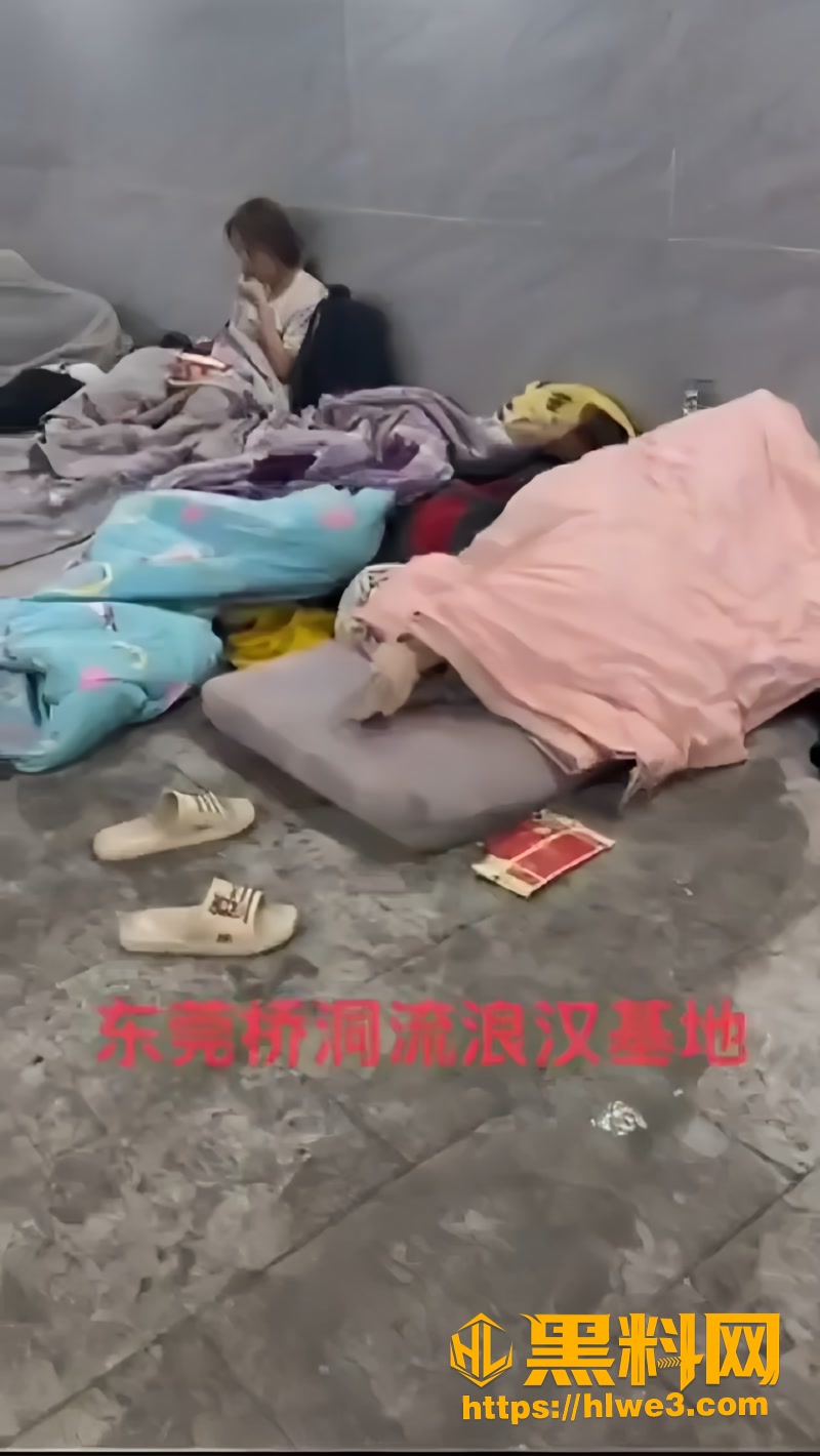 01广东莞桥洞流浪汉基地0 1wm
