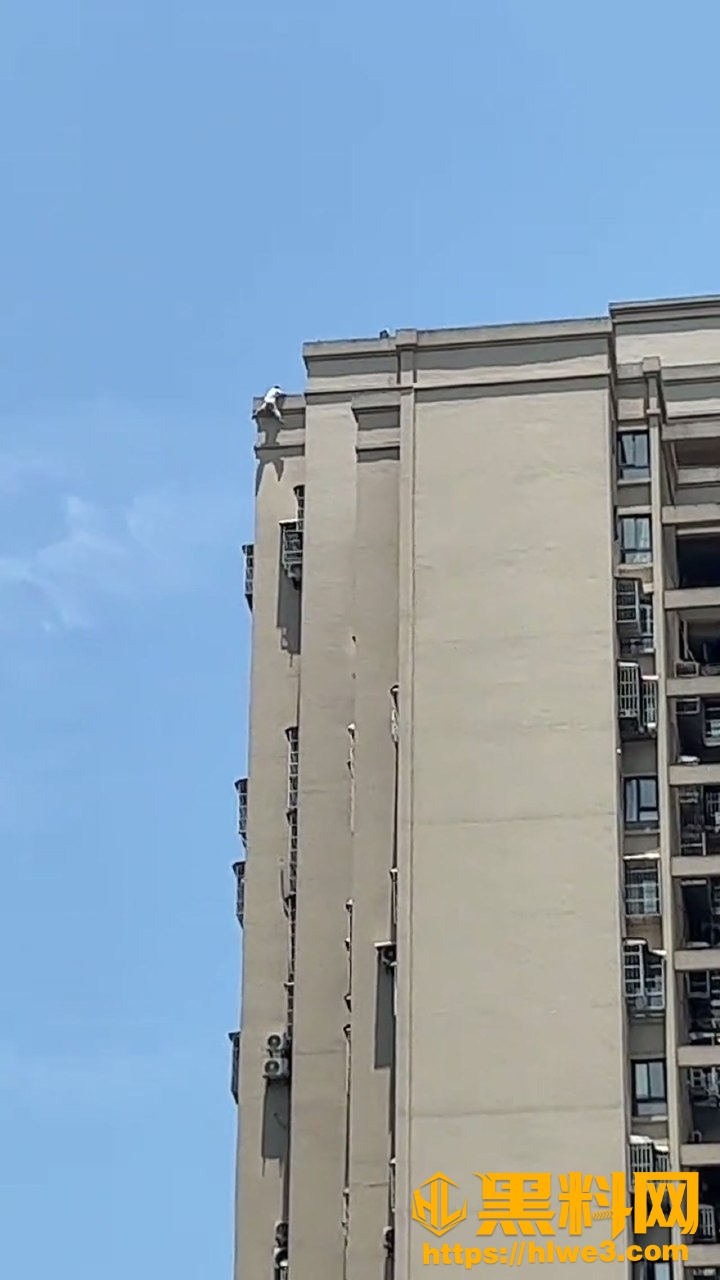 重庆高楼救人视频2