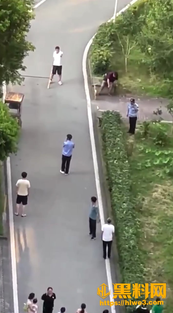 美猴王打架现场视频3