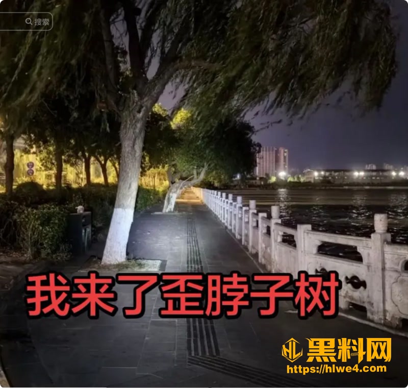 02北湖公园后入现场实拍1 2wm